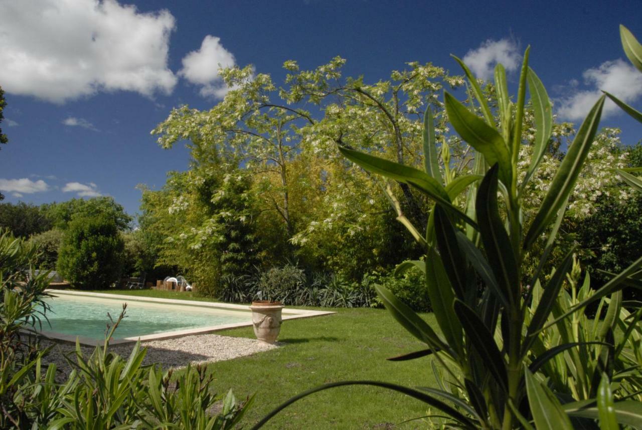 Le Coing Des Vignes Bed & Breakfast Mauressargues Eksteriør bilde