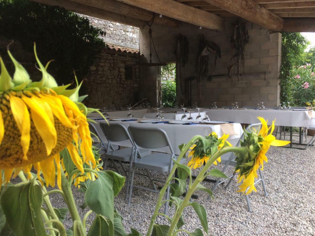 Le Coing Des Vignes Bed & Breakfast Mauressargues Eksteriør bilde